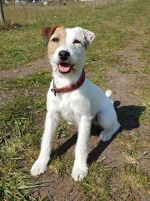 Bild: Beachrunner's Mesimarja