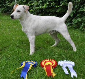 Bild: Fouruse's Folke Doggelito